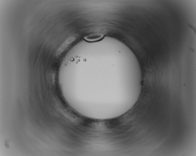 X0000103470120200809261913