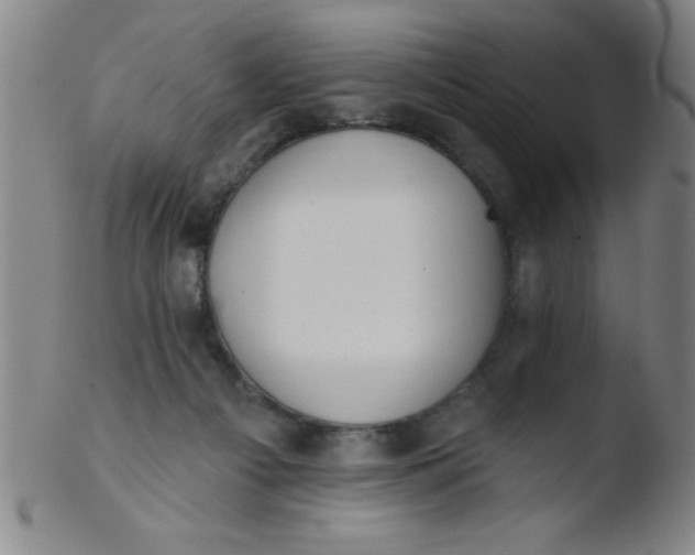 X0000103470121200809261913