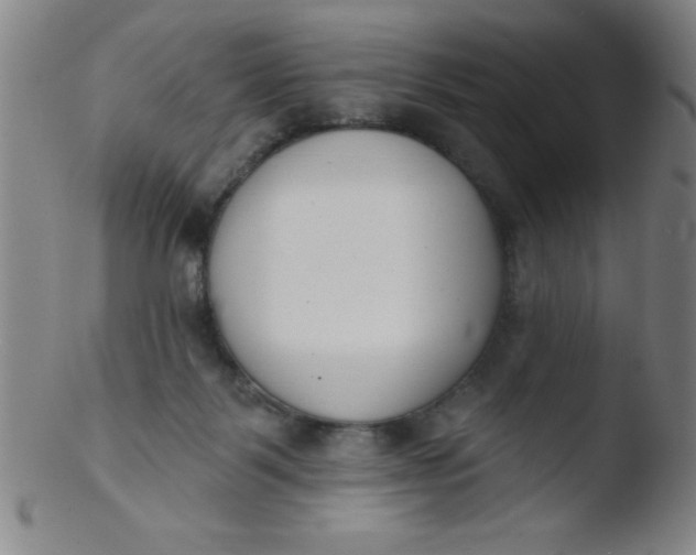 X0000103470123200809261913