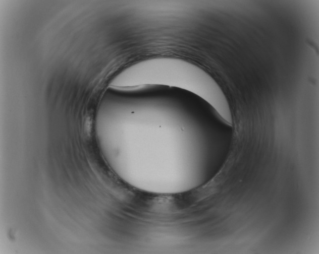 X0000103470124200809261913