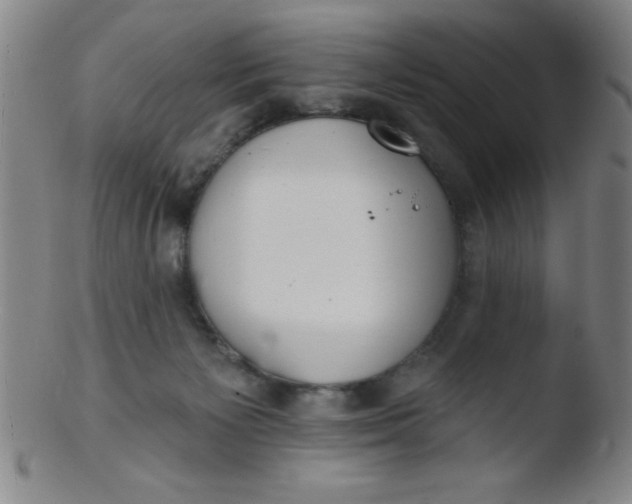 X0000103470125200809261913