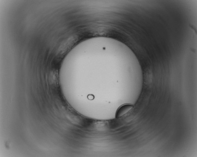 X0000103470126200809261913