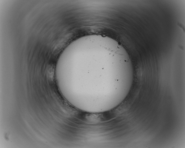 X0000103470129200809261913