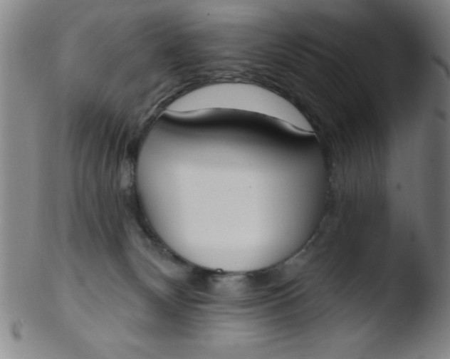 X0000103470132200809261913