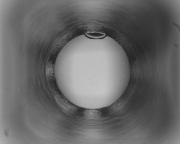 X0000103470137200809261913