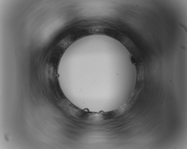 X0000103470140200809261913