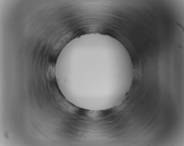 X0000103470142200809261913