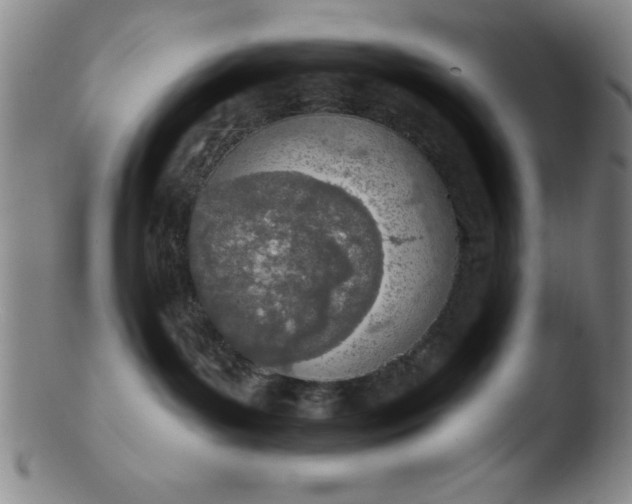 X0000103470143200809261913