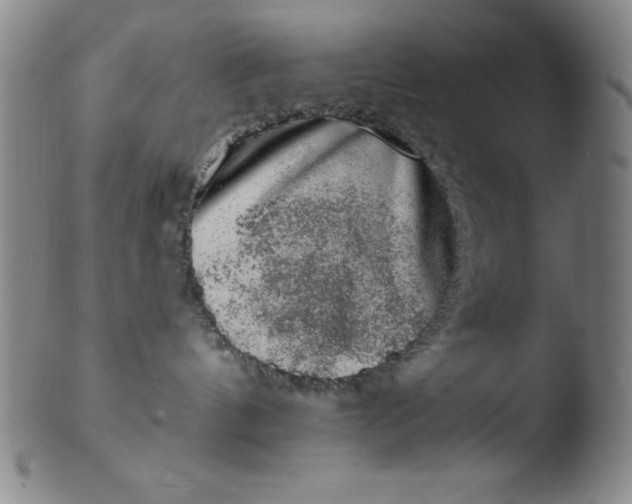 X0000103470144200809261913