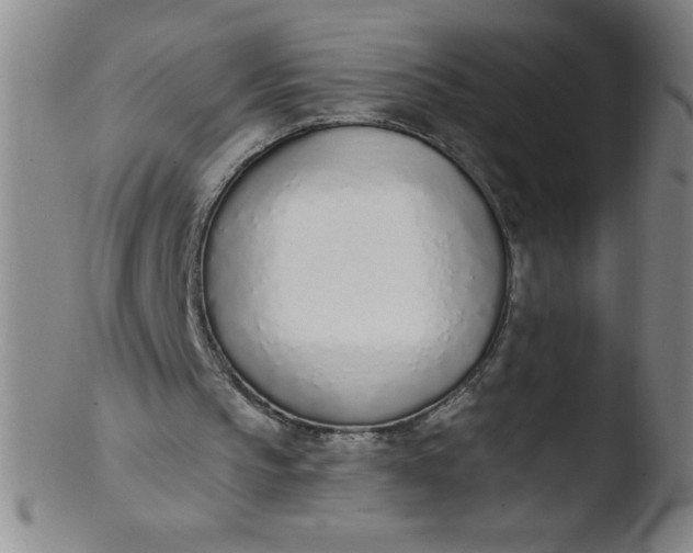 X0000103470145200809261912