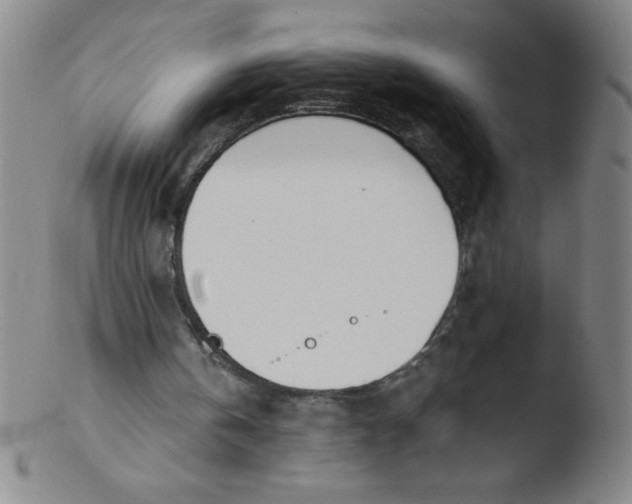 X0000103470146200809261912