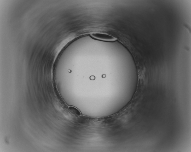 X0000103470148200809261912