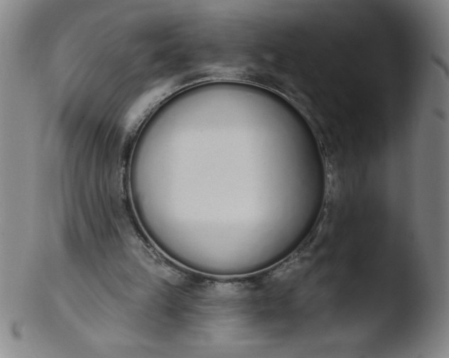 X0000103470149200809261912