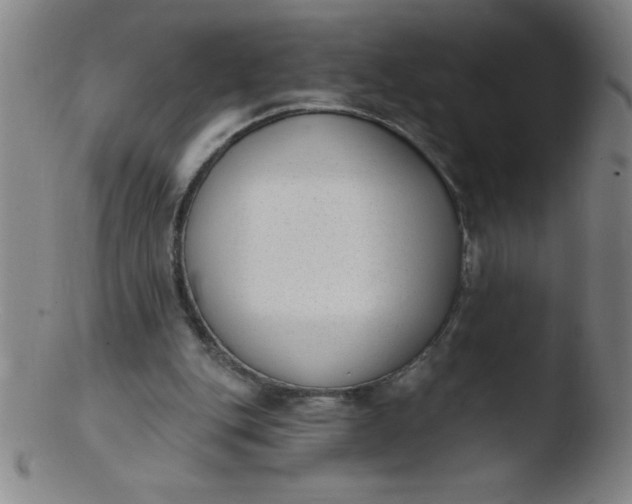 X0000103470151200809261912