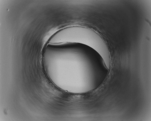 X0000103470152200809261912