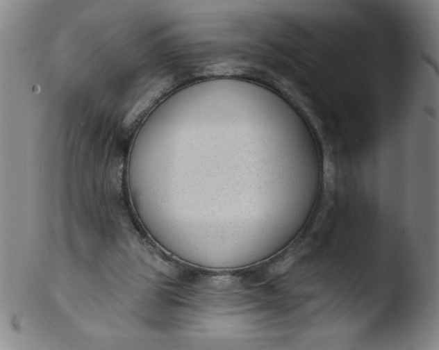 X0000103470153200809261912