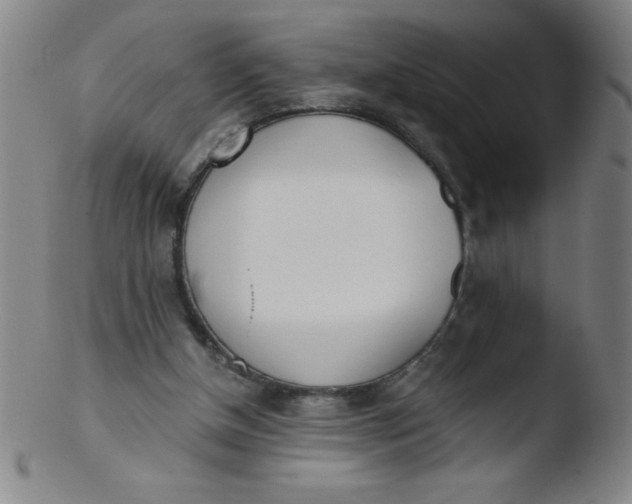 X0000103470154200809261912