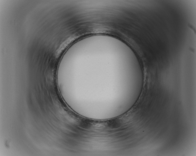 X0000103470155200809261912