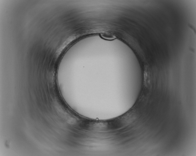 X0000103470156200809261912