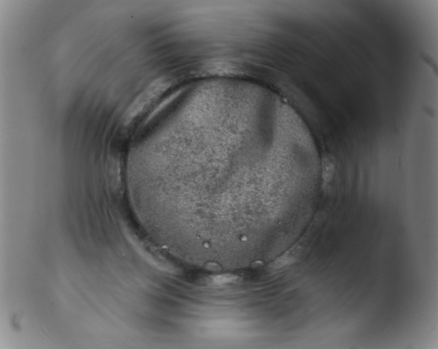 X0000103470158200809261912