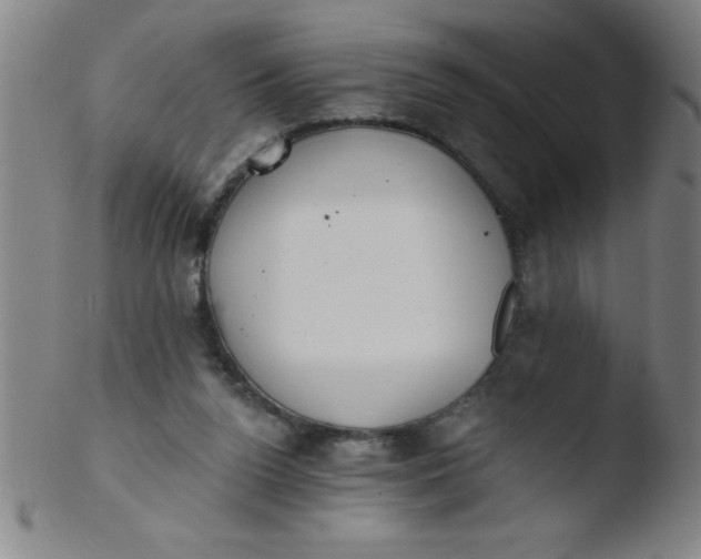 X0000103470160200809261912