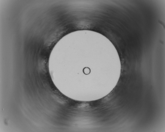 X0000103470162200809261913