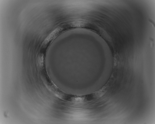 X0000103470163200809261913