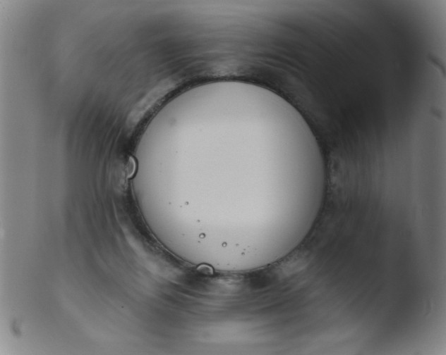 X0000103470164200809261913