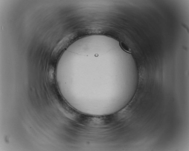 X0000103470166200809261913