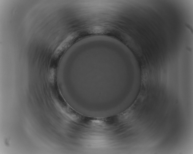 X0000103470167200809261913