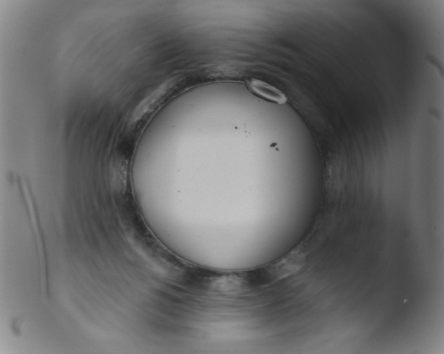 X0000103470168200809261913