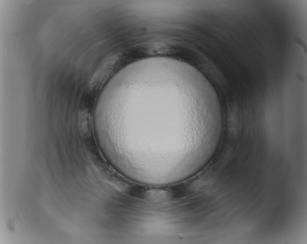 X0000103470169200809261913