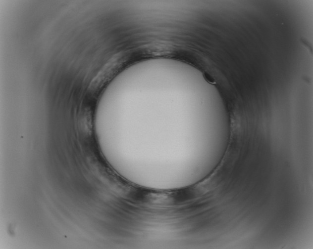 X0000103470170200809261913