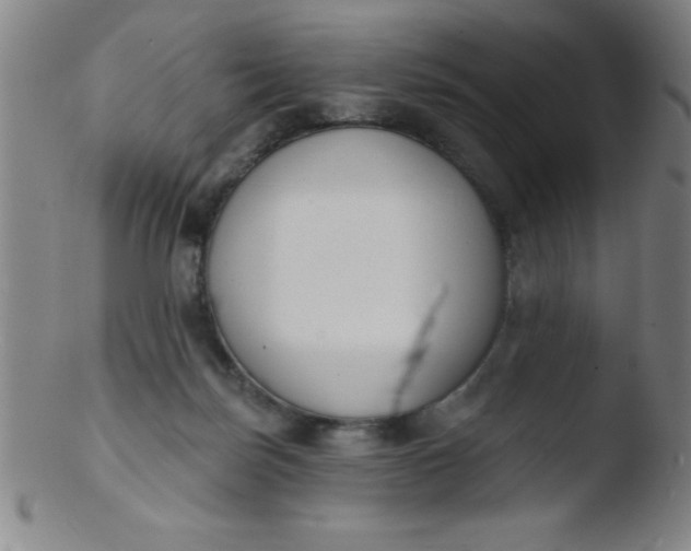 X0000103470171200809261913