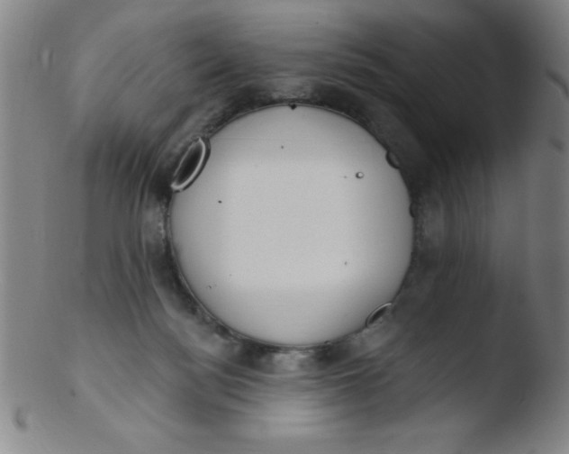 X0000103470172200809261913