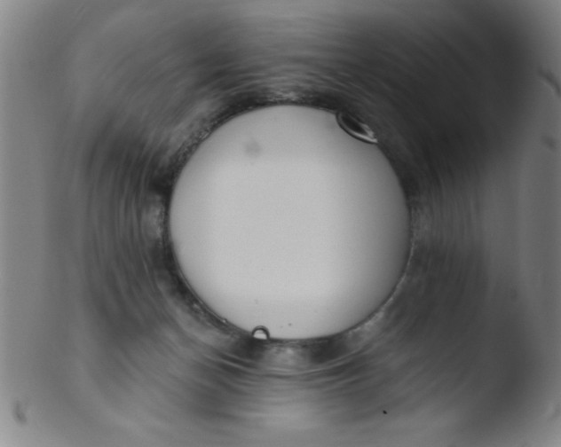 X0000103470174200809261913