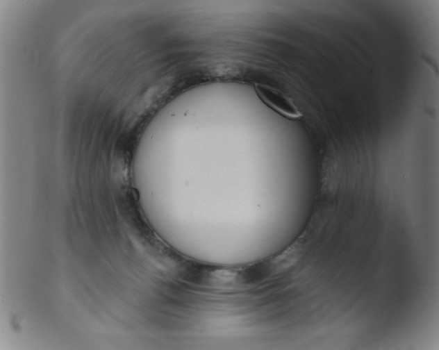 X0000103470176200809261913