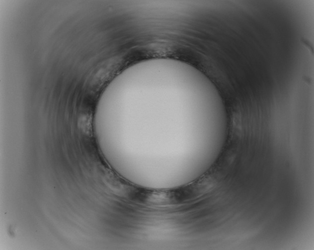 X0000103470177200809261913