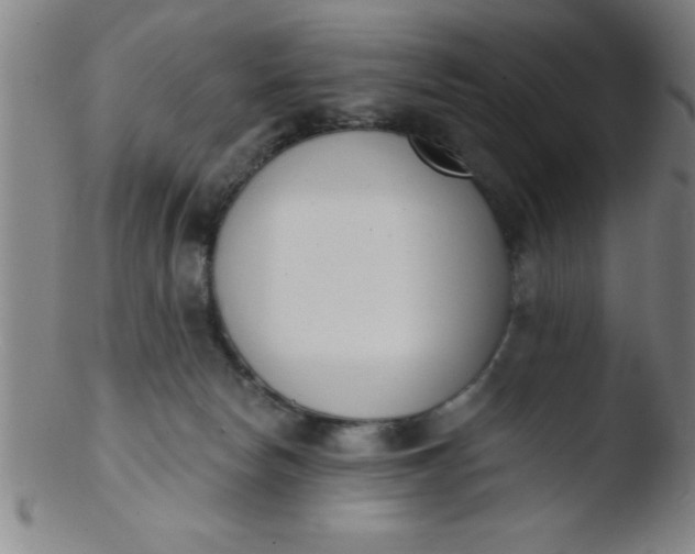 X0000103470178200809261913