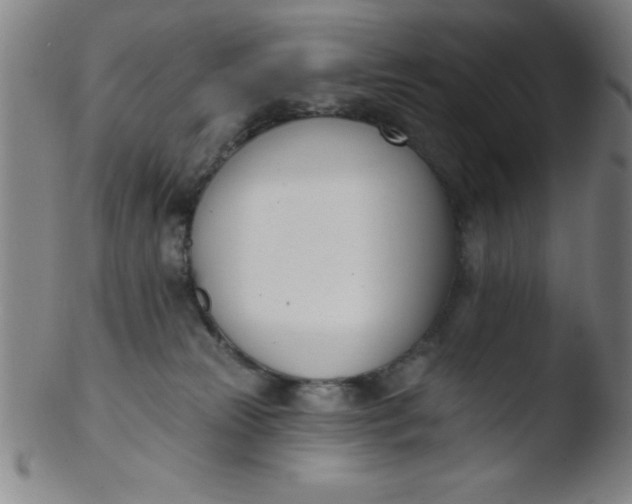 X0000103470181200809261913