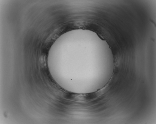 X0000103470182200809261913