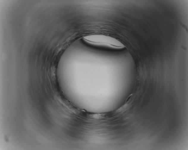 X0000103470184200809261913