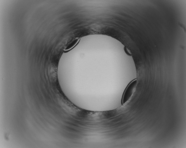 X0000103470186200809261913