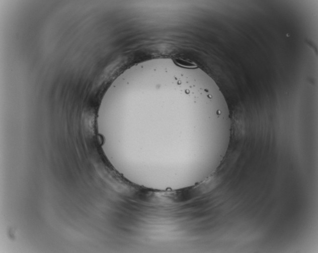 X0000103470188200809261913