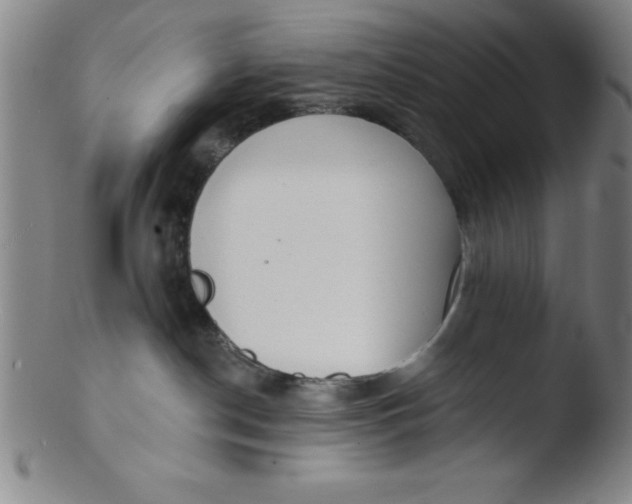 X0000103470190200809261913