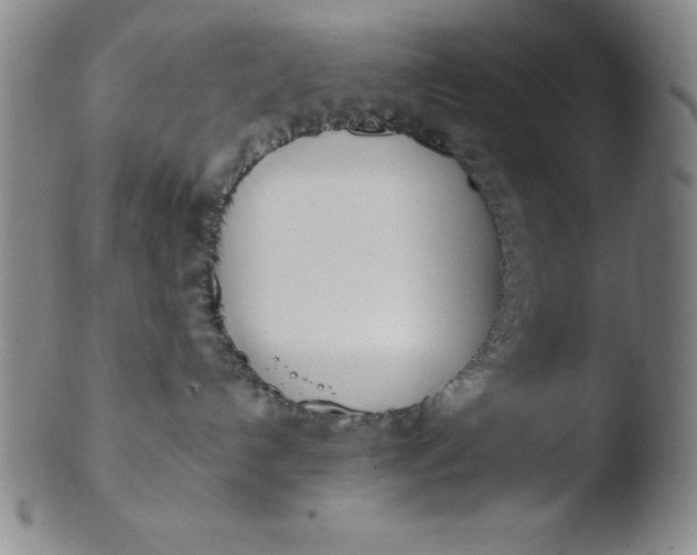 X0000103470192200809261913