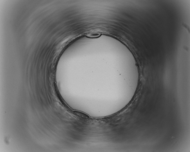 X0000103470193200809261912