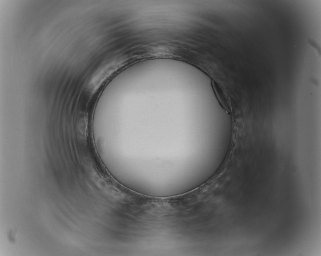 X0000103470194200809261912