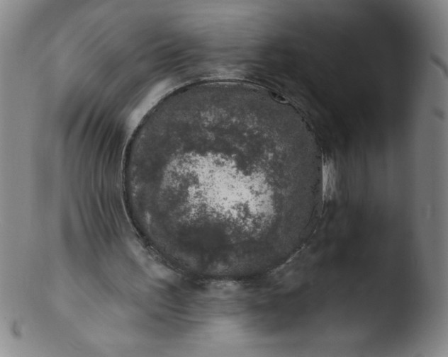 X0000103470195200809261912