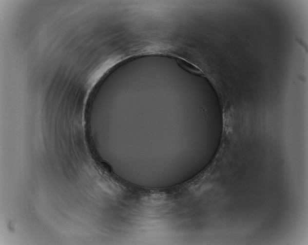 X0000103470196200809261912